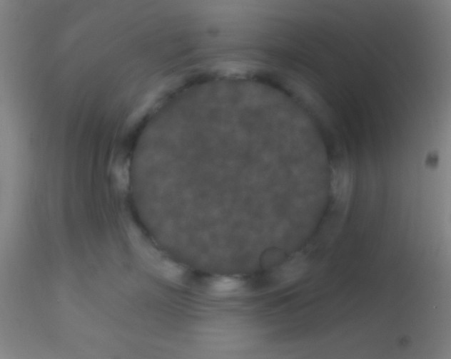 X0000113160718200910161244