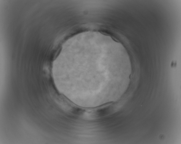 X0000113160720200910161244