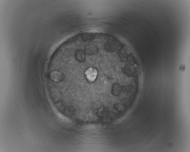 X0000113160721200910161243