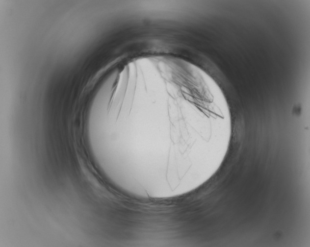 X0000113160722200910161243