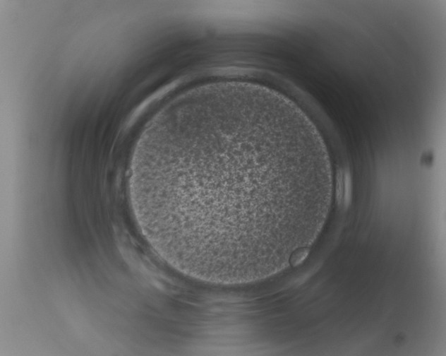 X0000113160723200910161243