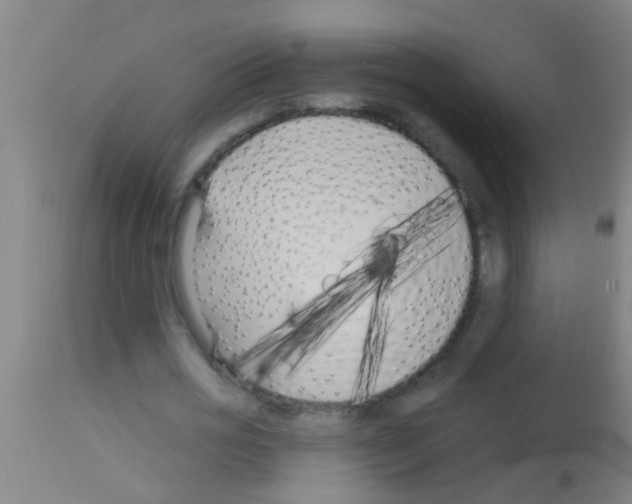 X0000113160725200910161243