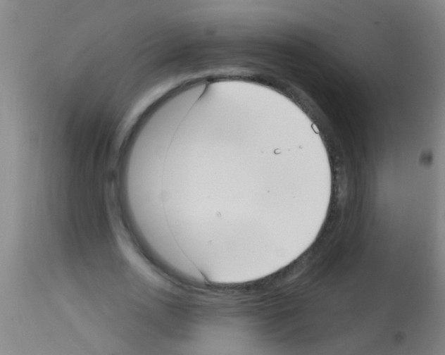 X0000113160726200910161243