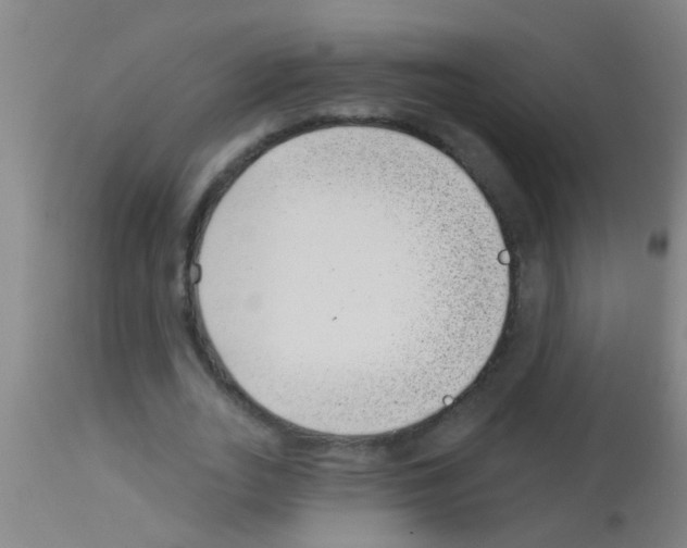 X0000113160727200910161243