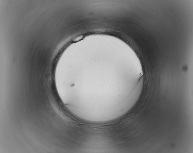 X0000113160728200910161243