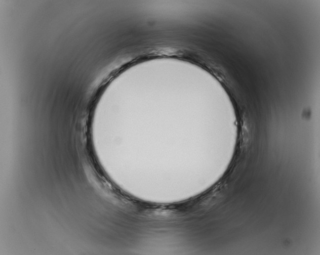 X0000113160730200910161243