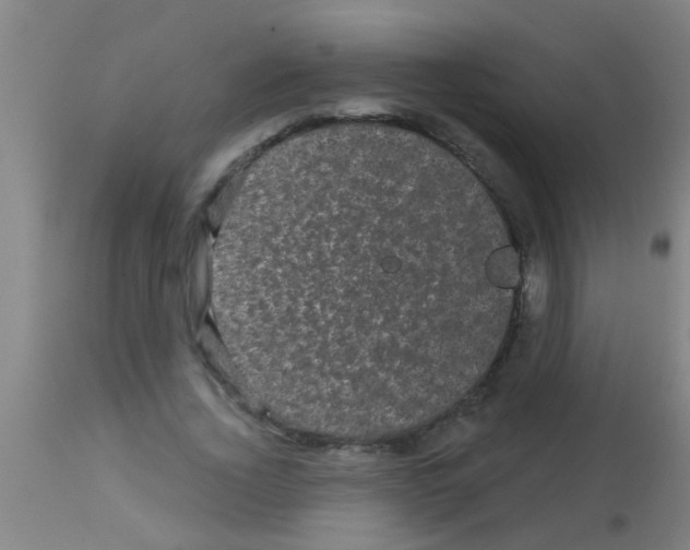 X0000113160732200910161243