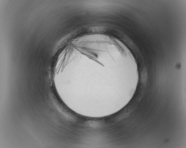 X0000113160733200910161243