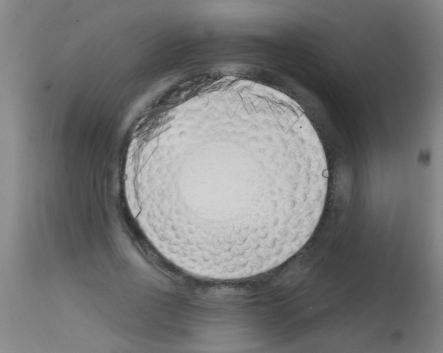 X0000113160734200910161244