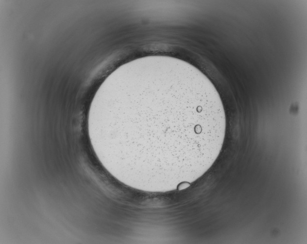 X0000113160735200910161244