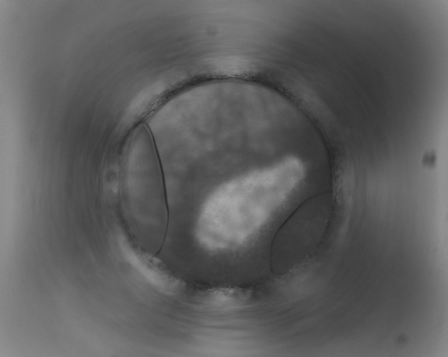 X0000113160736200910161244