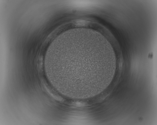 X0000113160737200910161244