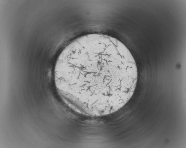 X0000113160739200910161244