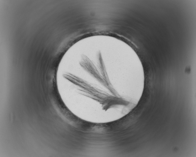 X0000113160742200910161244