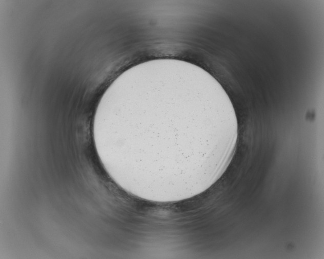 X0000113160743200910161244