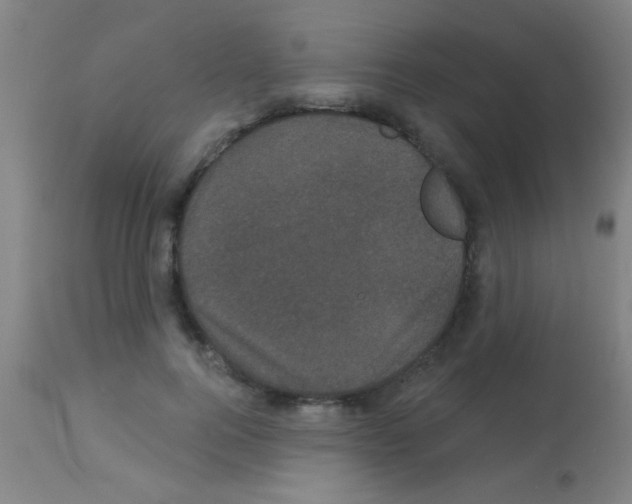 X0000113160744200910161244