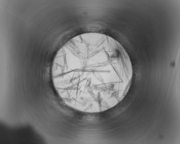 X0000113160745200910161244