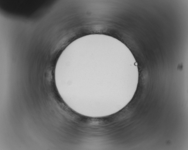 X0000113160746200910161244