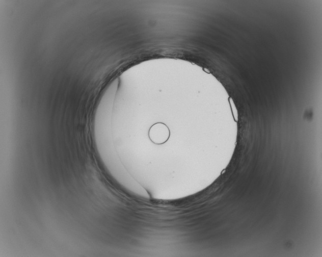 X0000113160748200910161244