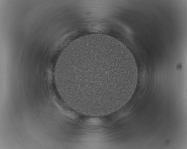 X0000113160749200910161244