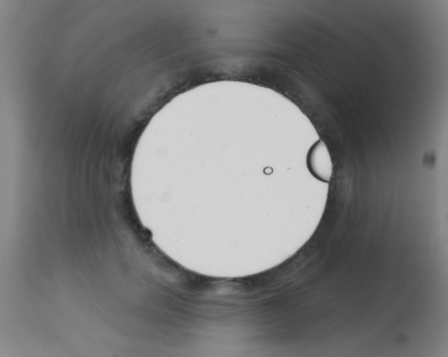 X0000113160750200910161244