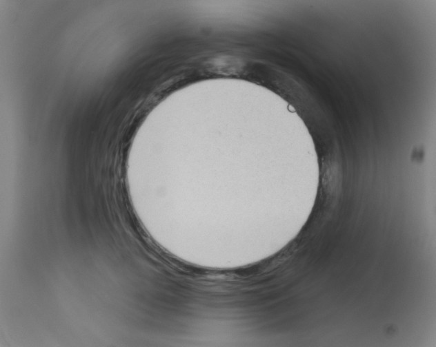 X0000113160752200910161244