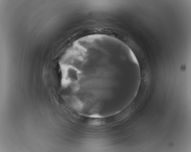 X0000113160754200910161244