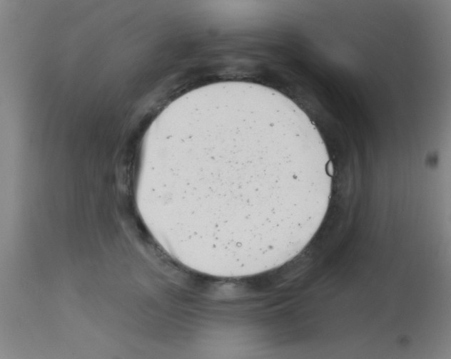 X0000113160755200910161244