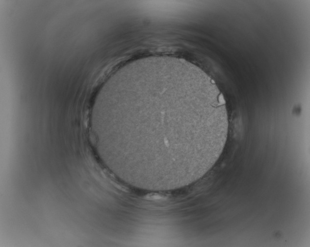 X0000113160756200910161244