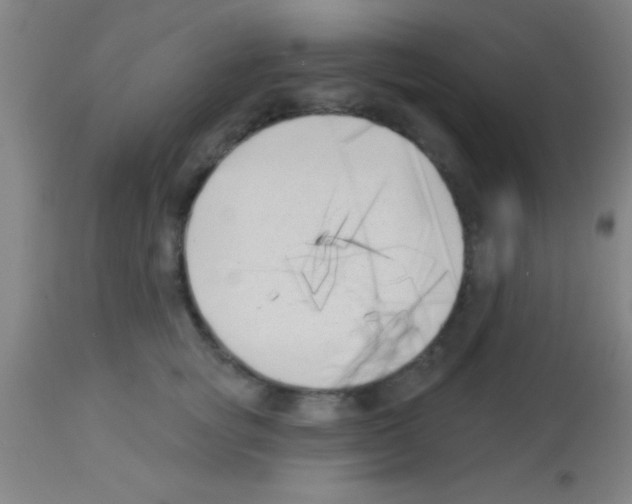 X0000113160757200910161244