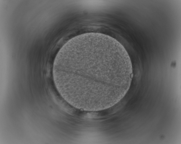 X0000113160758200910161244