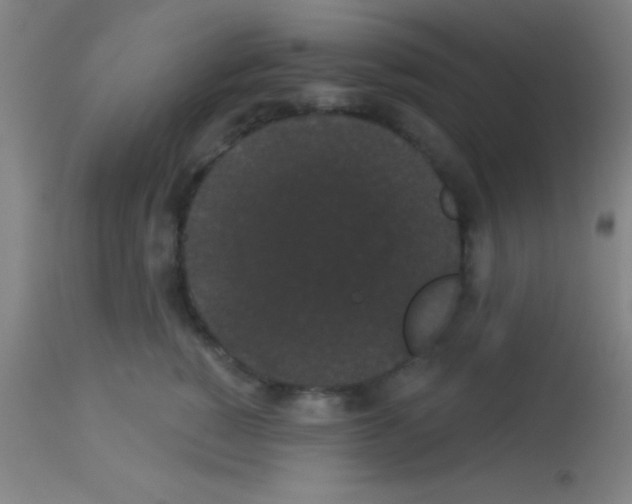 X0000113160760200910161244