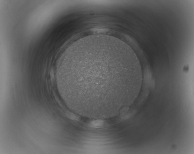 X0000113160761200910161244