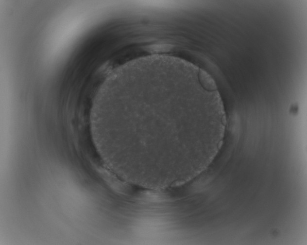 X0000113160763200910161244