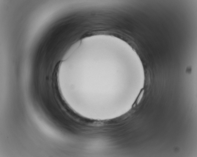 X0000113160764200910161244