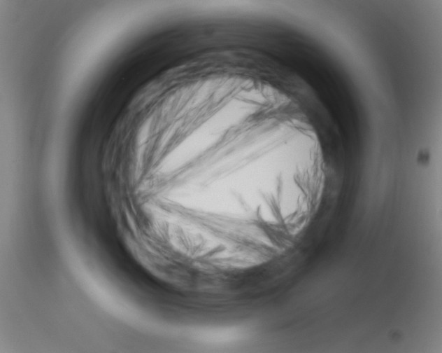 X0000113160765200910161244