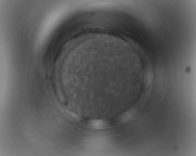 X0000113160766200910161244