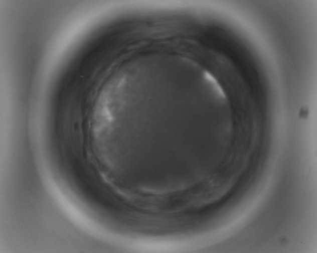 X0000113160767200910161244