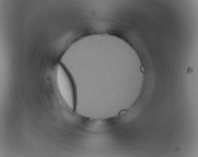 X0000113160768200910161244