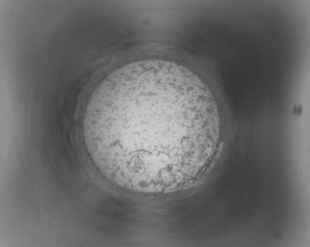 X0000113160769200910161243