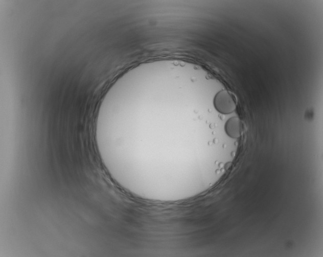 X0000113160772200910161243