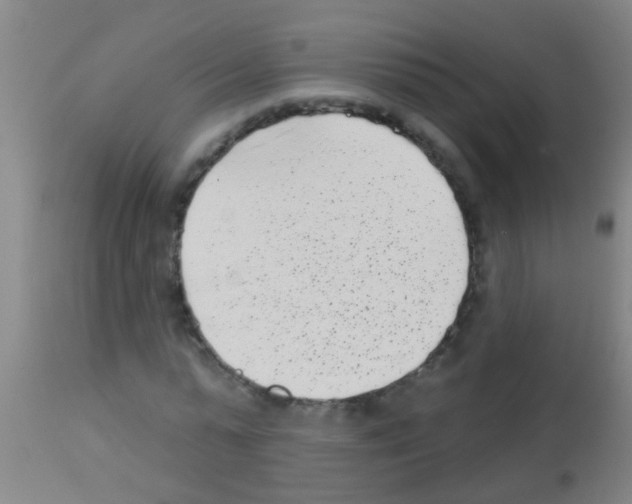 X0000113160775200910161243