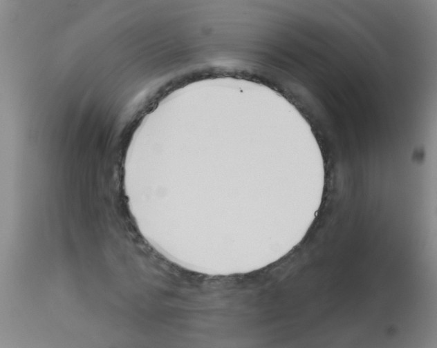 X0000113160776200910161243