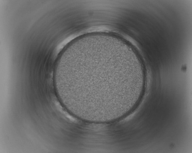 X0000113160778200910161243