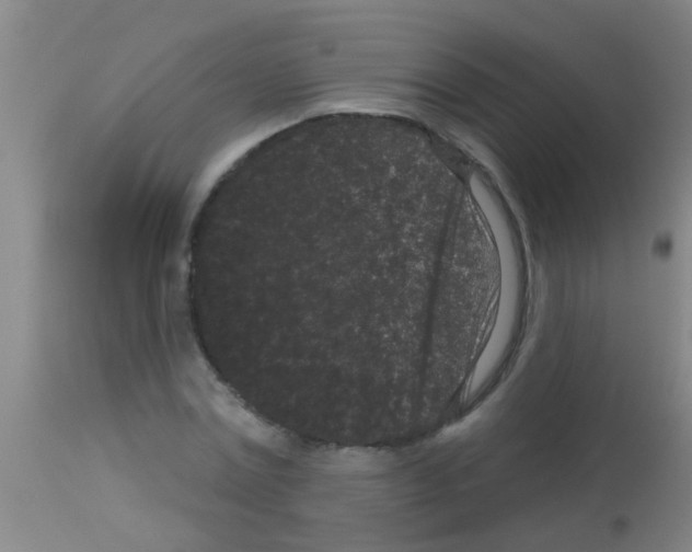 X0000113160779200910161243