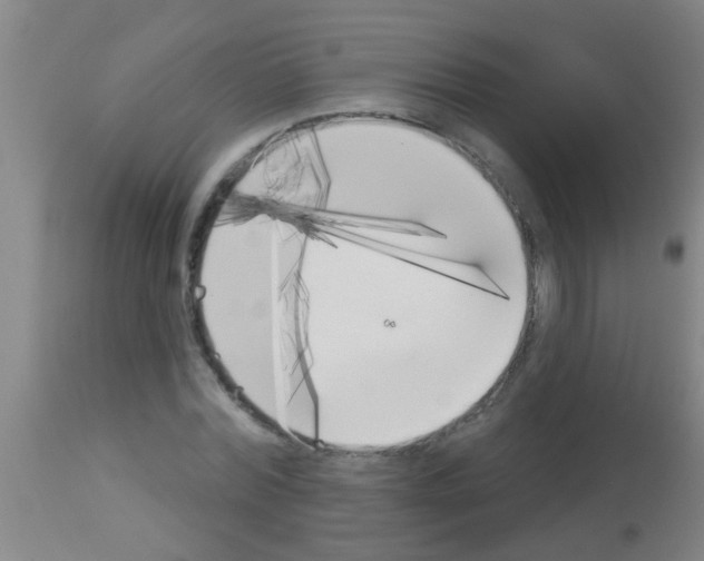 X0000113160780200910161243