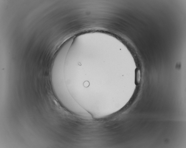 X0000113160785200910161243