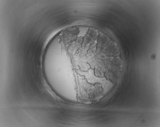 X0000113160788200910161243