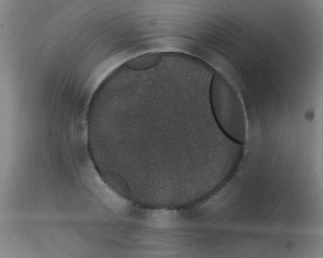 X0000113160789200910161243