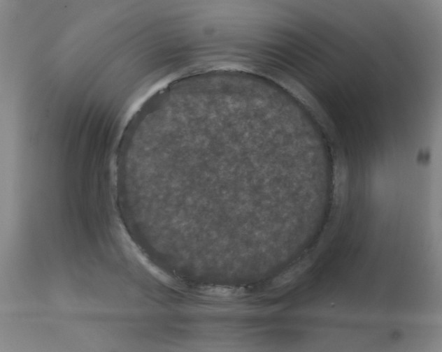 X0000113160790200910161243